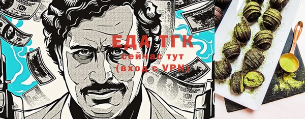 тгк Дмитровск