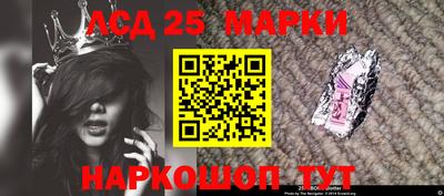 кокс Гатчина