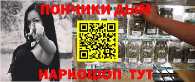 кокс Гатчина