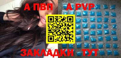 кокс Гатчина