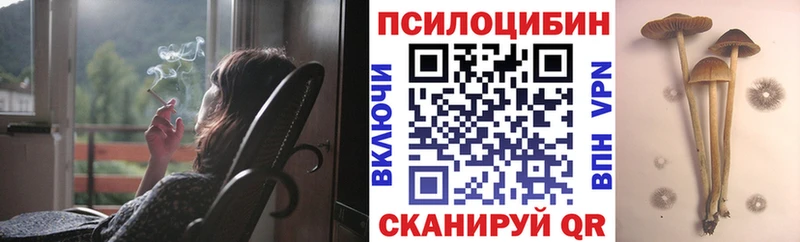Галлюциногенные грибы мухоморы купить наркотики цена Дюртюли