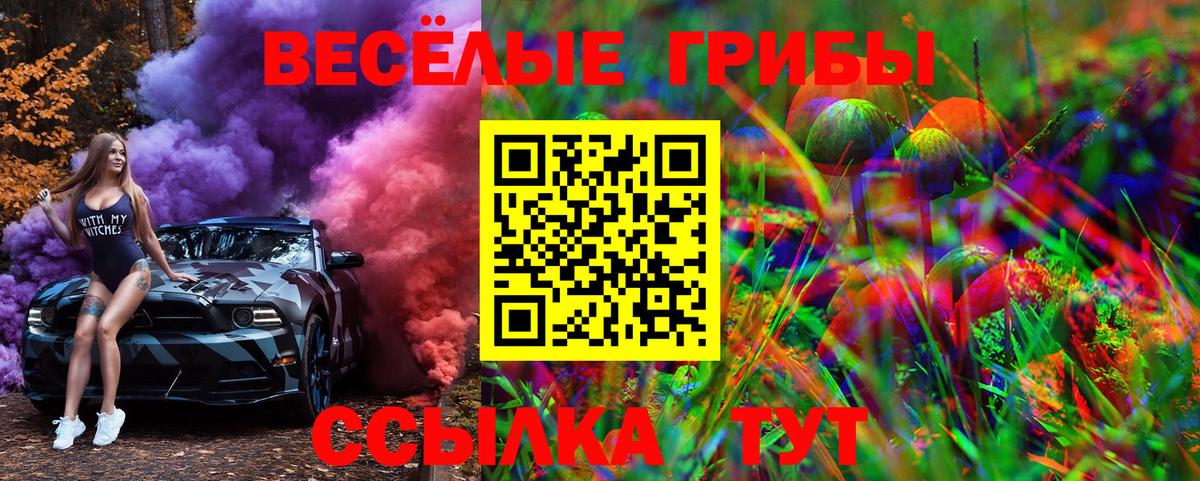 Псилоцибиновые грибы Magic Shrooms Дюртюли
