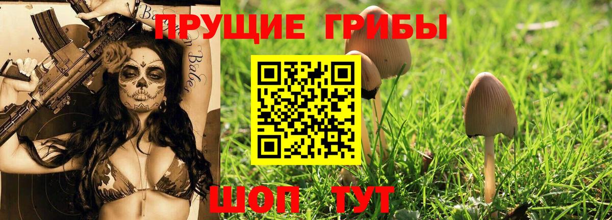 Галлюциногенные грибы прущие грибы  Вход с VPN  Дюртюли 